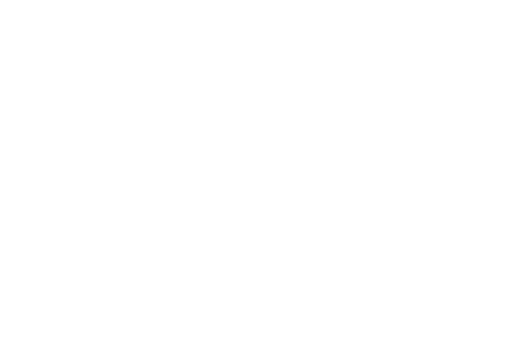 Solidal